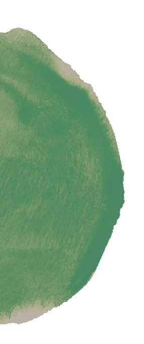 layout-Asset 2